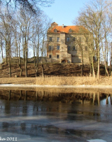 Rega, zamek stary, Płoty
