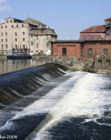 Rega, Gryfice